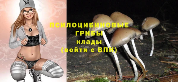 герыч Алзамай