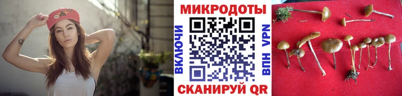 Купить закладки  Ужур  Псилоцибиновые грибы Magic Shrooms 